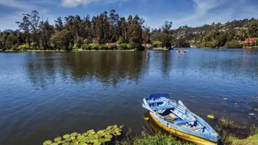 Chennai to Kodaikanal: A walk on the wild side