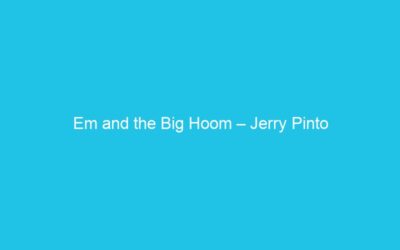 Em and the Big Hoom – Jerry Pinto