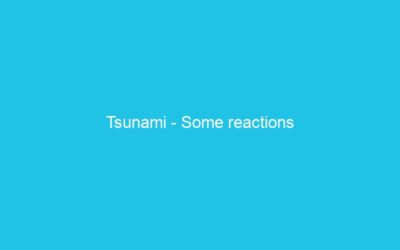 Tsunami – Some reactions