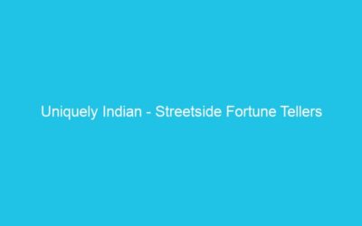 Uniquely Indian – Streetside Fortune Tellers