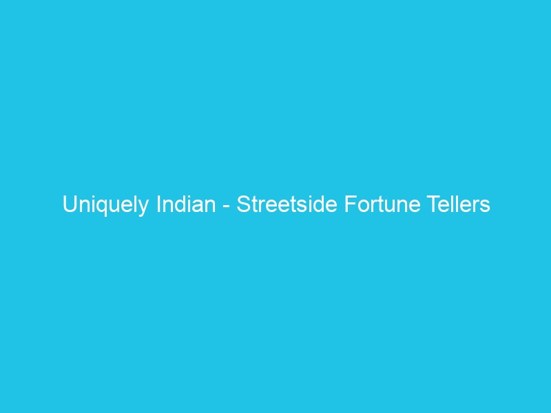 Uniquely Indian – Streetside Fortune Tellers